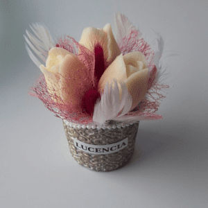 Mini Αρωματική Σύνθεση